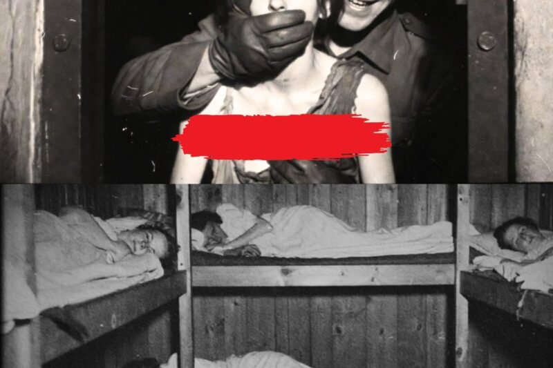 “Miért könyörgött néhány francia női fogoly, hogy küldjék a sötétkamrába  1943 telén a Berlintől északra fekvő Ravensbrucki koncentrációs táborban egy Elena Moreau nevű nő felfedezte, hogy a túlélés olyan döntéseket követelhet meg, amelyekre egyetlen embert sem szabad kényszeríteni. 28 éves volt, barna hajjal, a fejbőr közelében, szemekkel, amelyek már nem fejezték ki a félelmet,csak számítást. Elenát három hónappal korábban letartóztatták Marseille-ben, azzal vádolták, hogy szórólapokat terjesztett a német megszállás ellen. Azóta megtudta, hogy a tábor szabályait sehol sem írták; az őrök hangulata, a hajnal hidege vagy a délutáni unalom szerint változtak ütemezett kivégzés nélkül.  Ravensbruck nem csupán koncentrációs tábor volt; a szisztematikus lebomlás laboratóriuma volt, amelyet kifejezetten nők számára terveztek. Ott az erőszak nem csak a gázkamrákból vagy az összefoglaló lövöldözésekből származott, hanem a tétlen katonák állandó tekintetéből, a testellenőrzések során kiszabott csendből, valamint az engedély, indoklás és következmény nélkül megérintett kezekből. Elena ezt a második héten fedezte fel, amikor egy női őr megparancsolta neki, hogy vegye le blúzát egy rutin keresés során. Nem volt technikai indíték, csak hatalom, Elena pedig engedelmeskedett, nem a hidegtől, hanem a féktelen dühtől reszketve, tudva, hogy bármilyen ellenállás ürügy lesz valami rosszabbra.  December reggel volt, amikor először hallott a fekete szobáról. Margot Lefebvre, egy 40 éves párizsi munkás, három nappal korábban tért vissza onnan. A keze remegett, miközben a csésze zavaros vizet tartotta, amely kávéként szolgált. Elena megkérdezte tőle, mi történt. Margot körülnézett, ellenőrizve, hogy nincs-e Kapo a közelben, és halkan válaszolt, hogy a fekete szoba pontosan az, amit a neve sugall: egy földalatti rekesz, ablak nélkül, fény nélkül, hang nélkül, kivéve a saját légzését. Hét nap kemény kenyérrel és jéghideg vízzel – semmi más.  Elena arra számított, hogy terrort fog hallani Margot hangjában, de amit hallott, az valami más volt: megkönnyebbülés. Margot elmagyarázta, hogy néhány fogoly azt kérte, hogy küldjék el a fekete szobába, nem azért, mert szenvedni akarnak, hanem azért, mert ott, teljes sötétségben, pontosan tudták, mire számíthatnak. Ellenőrzött éhség, kiszámítható hideg, abszolút magány. Nincsenek váratlan kezek az éjszaka közepén, nincsenek pillantások, amelyek a testeket szabad tárgyakká változtatnák, nincsenek őrök, akik 3:00-kor belépnek a laktanyába, hogy véletlenszerű ágyra mutassanak, és utasítsanak egy nőt, hogy keljen fel és kövesse őket. A fekete szobában az erőszak rögzült—brutális, de rögzített-és ebben a rögzítésben volt a furcsa biztonsági formája.  Elena nem tudott aludni azon az éjszakán. Az ágyként szolgáló fa deszkán feküdt, hallgatva a laktanyát megosztó 63 másik nő szabálytalan légzését. Az édesanyjára gondolt, aki két évvel korábban tüdőgyulladásban halt meg. A testvérére gondolt, aki eltűnt a német invázió óta. Magára gondolt, a nőre, aki régen volt-az irodalomprofesszorra, aki úgy gondolta, hogy a szavak megváltoztathatják a világot. A szavak haszontalanok voltak, csak a döntések számítottak. Elena pedig megértette, hogy egyes döntésekhez el kell fogadni az elfogadhatatlant…………..Részletek az alábbiakban