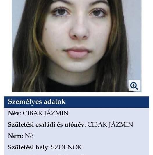 A kishúgom tegnap elindult haza, és azóta sem ért ide. Nem lehet elérni, senki nem tud róla semmit