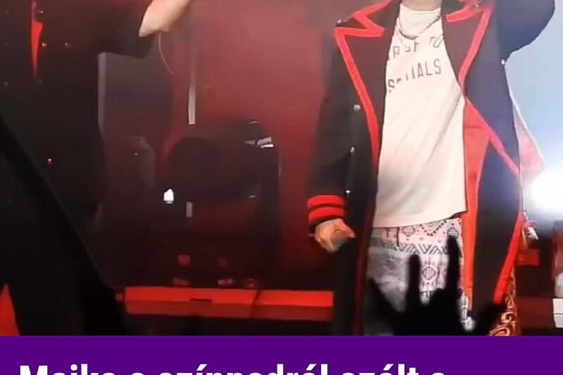 Majka a színpadról szólt a közönséghez – szavazásra buzdított a koncerten