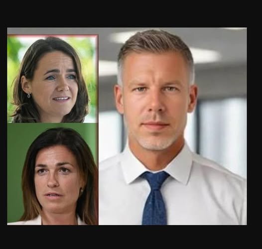 Itt az igazság a Novák Katalin botrányról! Varga Judit volt férje borította a bilit. Megnevezte az igazi felelősöket: