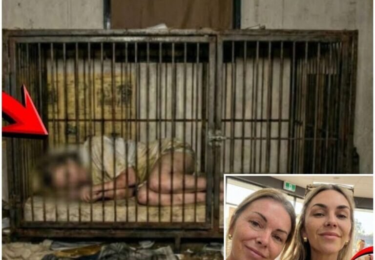 Anya és lánya eltűnt a Sierra Nevada-ban – egy évvel később a lányt alvó állapotban találták meg egy lakókocsi kutyaketrecében