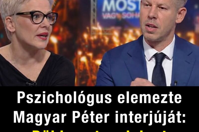 Egy pszichológus elemezte ki a Magyar Péter interjút.