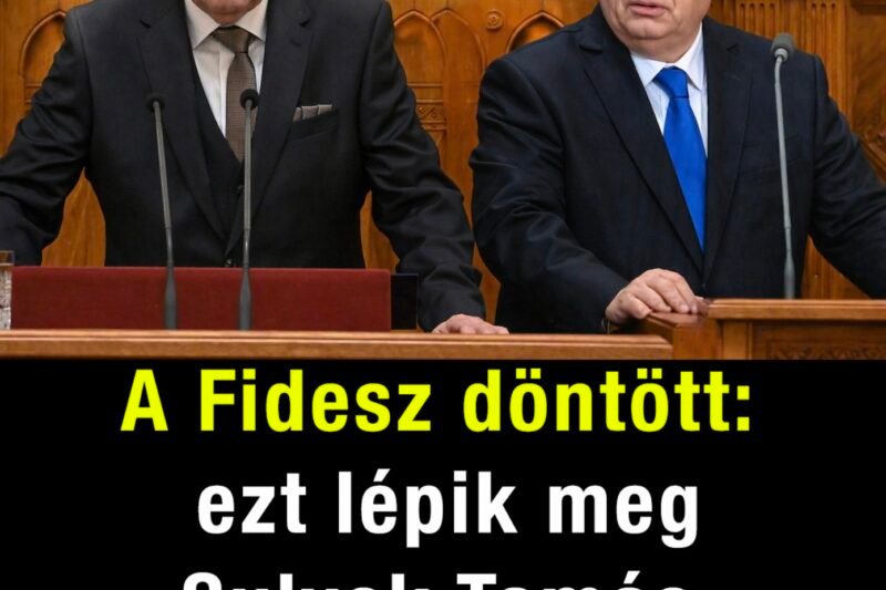 A Fidesz döntött: ezt lépik meg Sulyok Tamás hivatalban tartásáért