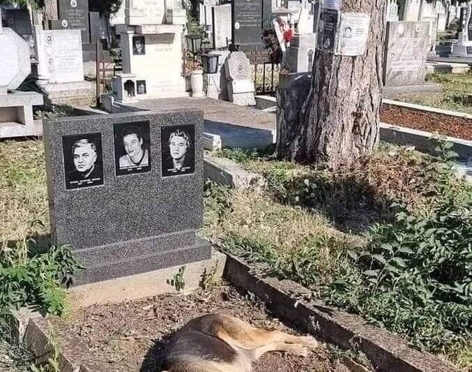 Ma a saját szememmel láttam ezt a temetőben..a zsebkendőért kellett nyúljak