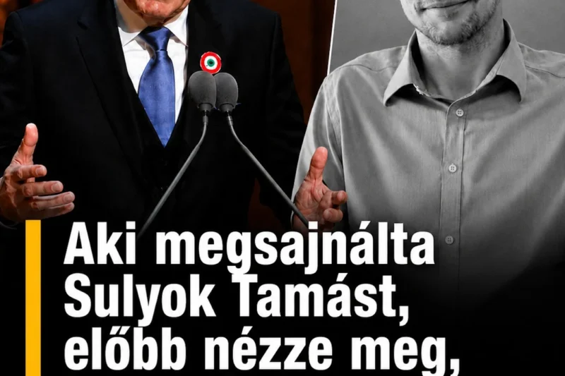 Aki most sajnálja Sulyok Tamást, olvassa el, mit tett Karsai Dániellel és más áldozatokkal