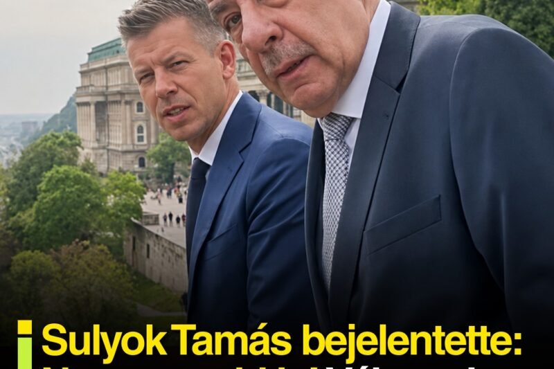 Sulyok Tamás bejelentette: Nem mondd le! Válaszul Magyar Péter olyan erős üzenetet küldött Sulyoknak amire senki nem számított
