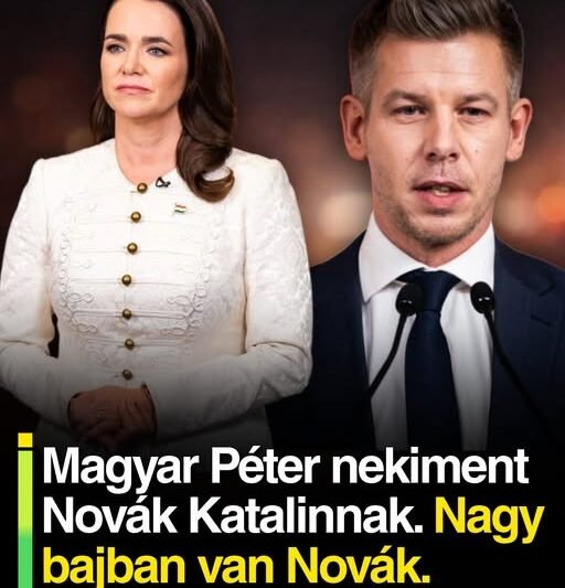 Magyar Péter nekiment Novák Katalinnak. Nagy bajban van Novák.