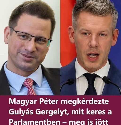 Magyar Péter nekiment Gulyás Gergelynek, gyorsan megjött a válasz