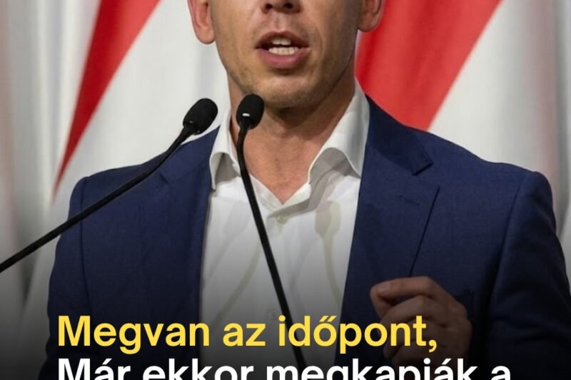 Sulyok Tamás megszólalt a lemondásáról, ez jön most