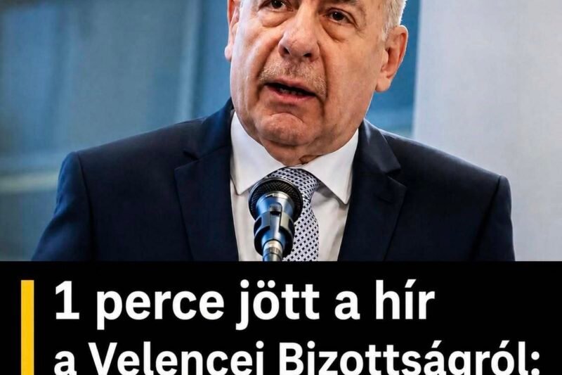 1 perce jött a hír a Velencei Bizottságról: Sulyok Tamásról van szó