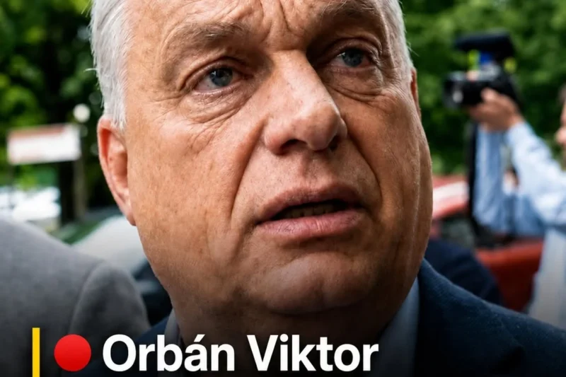 Most ülsz le -ha megátod!Orbán Viktor vagyonnyilatkozatából érdekes dologok derültek ki ! Kiderült, amire senki sem számított!
