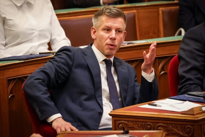 ÁLL A BÁL! Ez nagyon gyors volt! Forrong az ország a dühtől! – EZ hihetetlen, de ma reggelre már ŐT is leváltotta Magyar Péter, vége van: