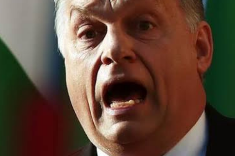 „Eszkortfiút használnak fel” – Orbán Viktor megszólalt a Szőlő utcai ügyről Orbán Viktor megszólalt a Szőlő utcai ügyről: „Eszkortfiút használnak fel, hogy becstelen dolgokat terjesszen”
