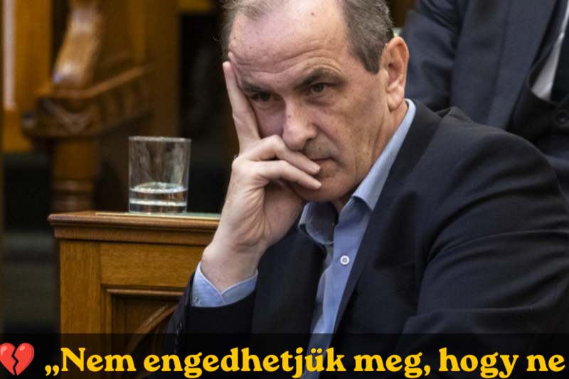 Hegedűs Zsolt reagált a kétéves kisfiú halálának hírére: Nem engedhetjük meg magunknak, hogy ezekből az esetekből ne tanuljunk Reagált Hegedűs
