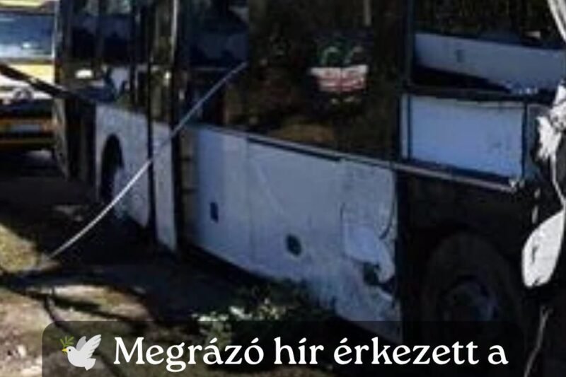 „Van, aki már nem térhet haza…” – a sofőr halt meg a hajnali buszbalesetben, megrázó felvételek készültek a mentésről