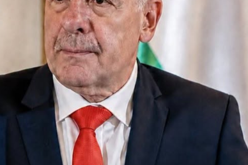 Dráma a parlamentben! Sulyok Tamás marad a köztársasági elnök !