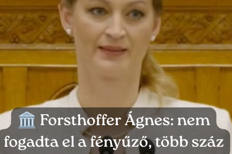 Forsthoffer Ágnes: Nem fogadtam el a fényűző, többszáz négyzetméteres elnöki rezidenciát