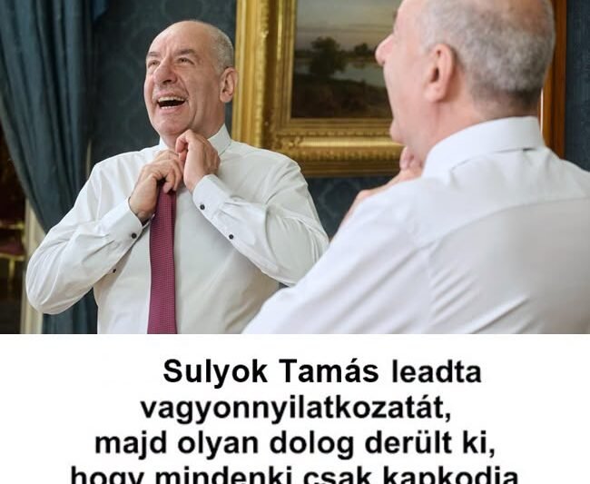 Sulyok Tamás leadta a vagyonnyilatkozatát – Olyan dolog derült ki, hogy mindenki csak kapkodja a fejét – FrissHír24