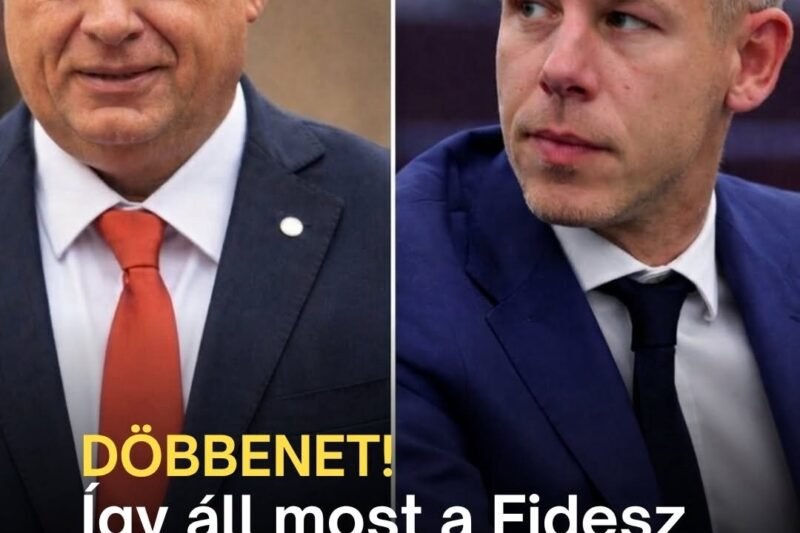 Most jött a friss felmérés, így áll most a Fidesz és a Tisza – Magyarvilag.com